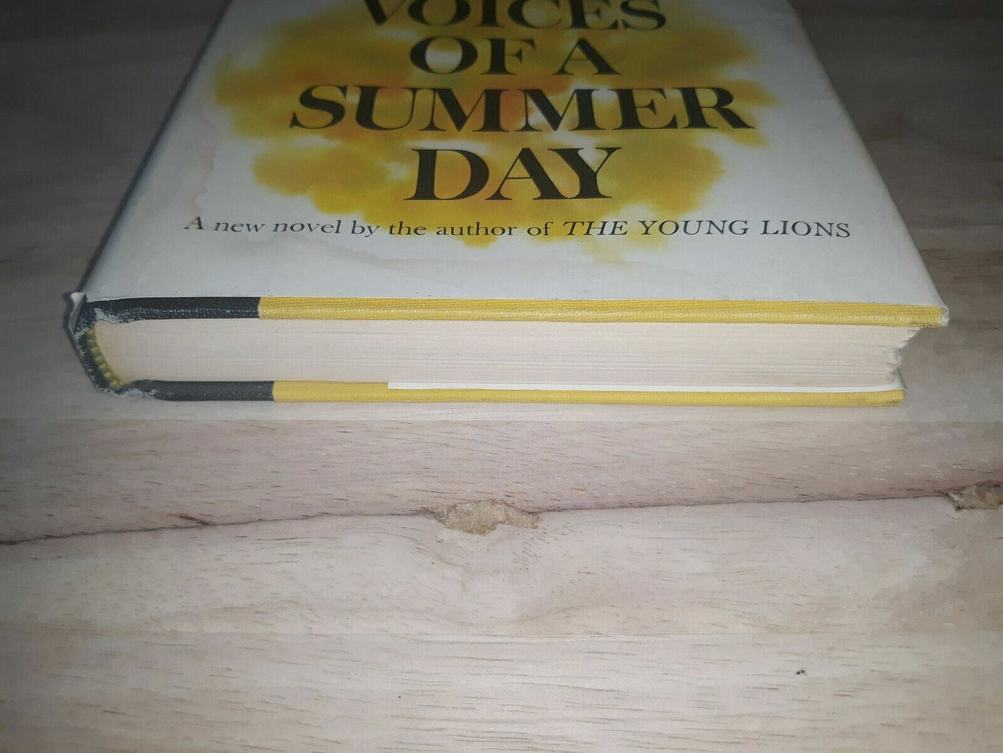 Voices of a Summer Day (Irwin Shaw, Copyright 1965 Hardcover w/DJ) BCE