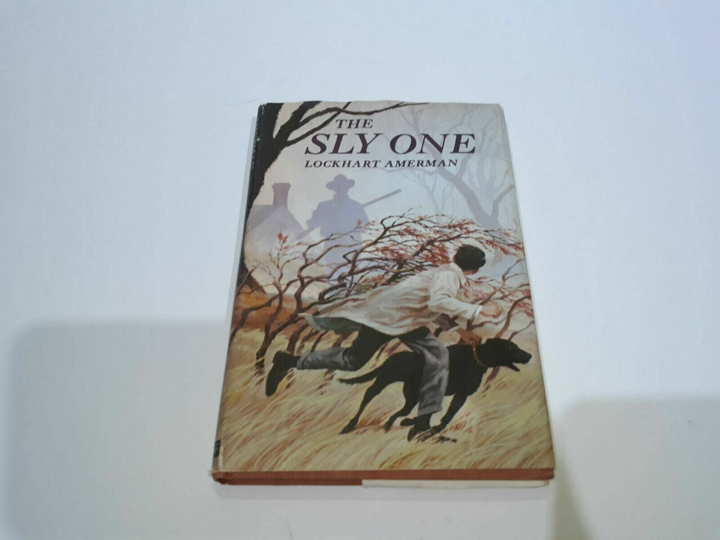 The Sly One By Lockhart Amerman Hardcover 1st Ed Copyright 1966