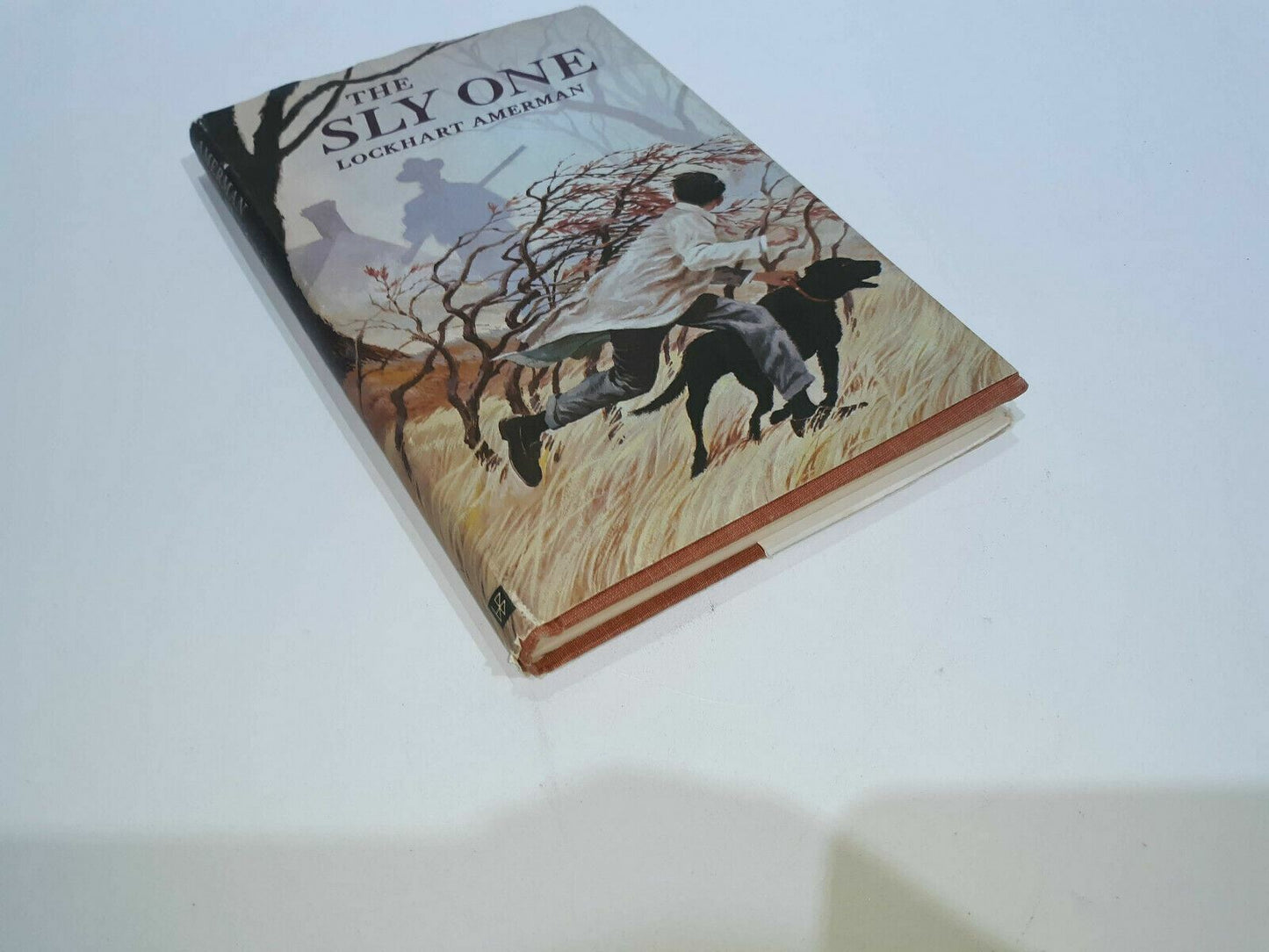 The Sly One By Lockhart Amerman Hardcover 1st Ed Copyright 1966