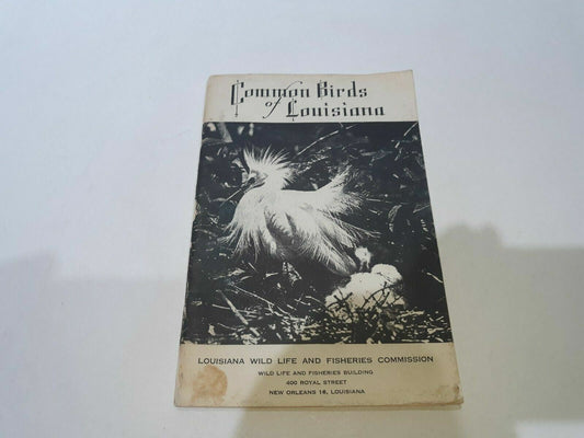 1969 Common Birds of Louisiana Wildlife & Fisheries- Illustrated New Orleans LA
