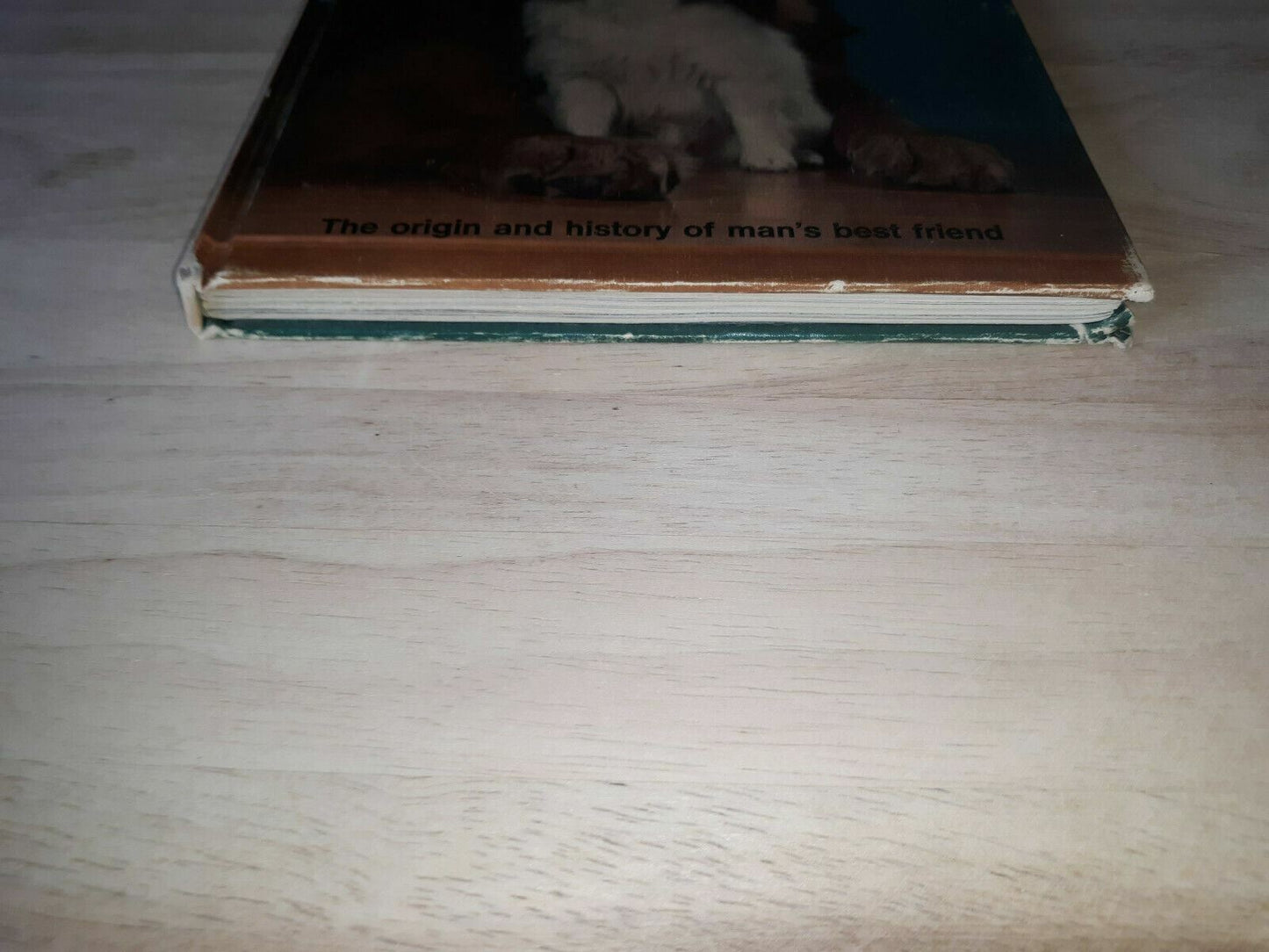 THE STORY OF DOGS Lauber, Patricia 1966