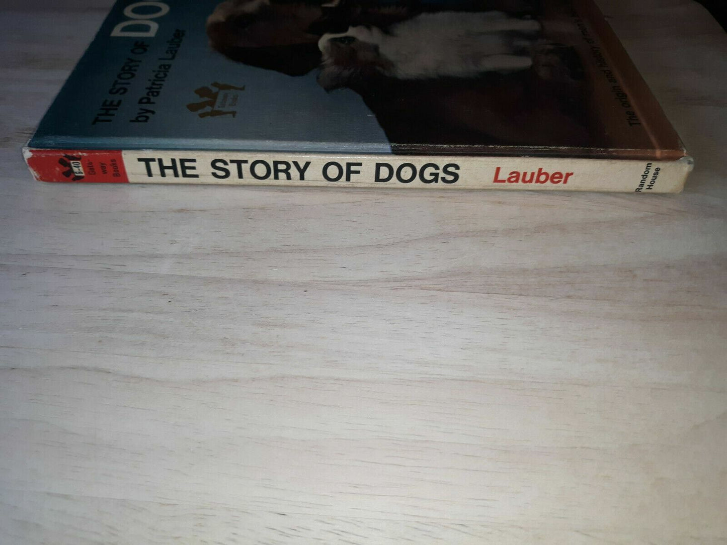 THE STORY OF DOGS Lauber, Patricia 1966