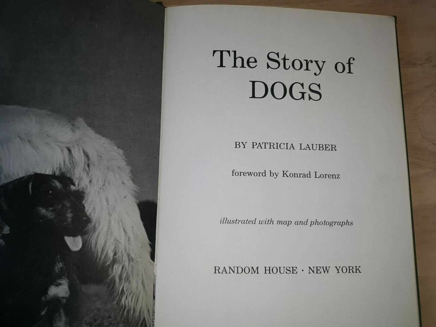 THE STORY OF DOGS Lauber, Patricia 1966