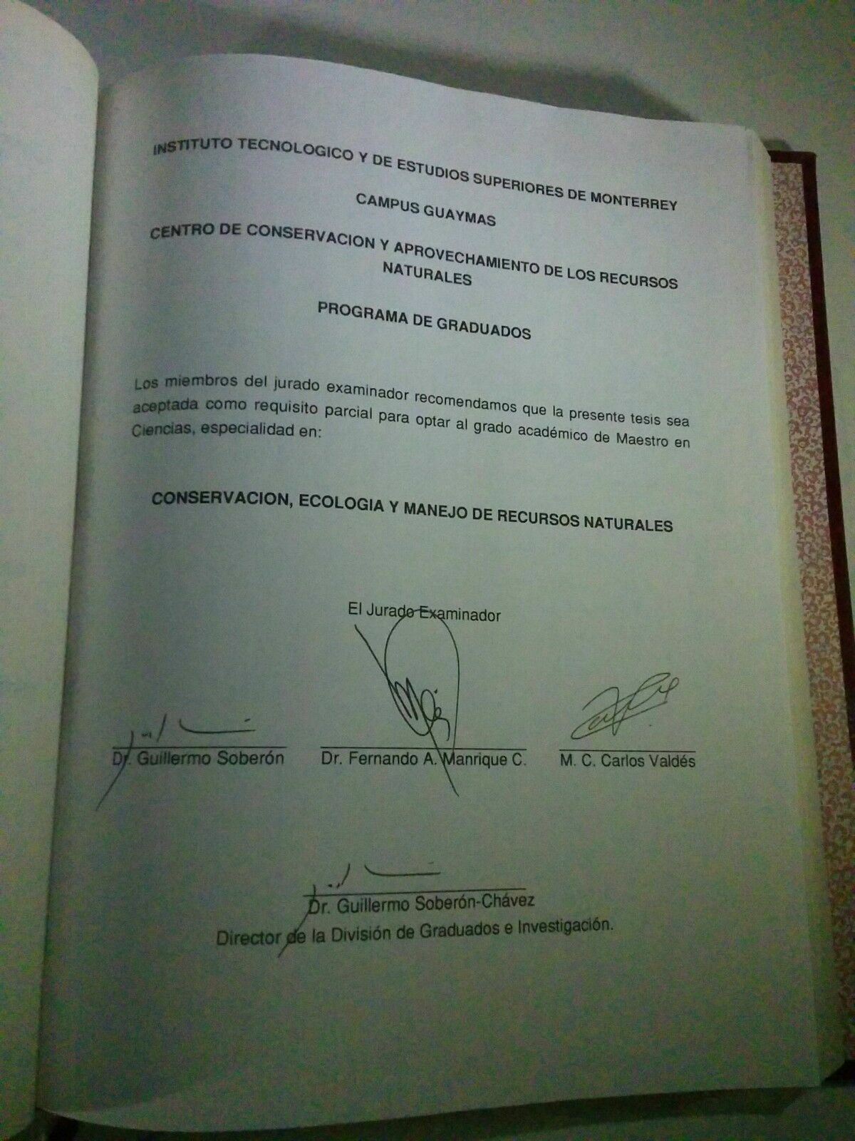 Leonor Patricia Güereca Hernández 1994 Tesis De Maestria