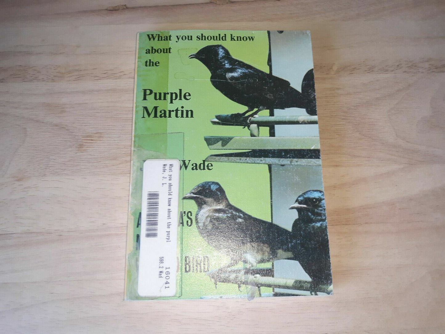 What You Should Know About the Purple Martin: America's Most Wanted Bird 1981