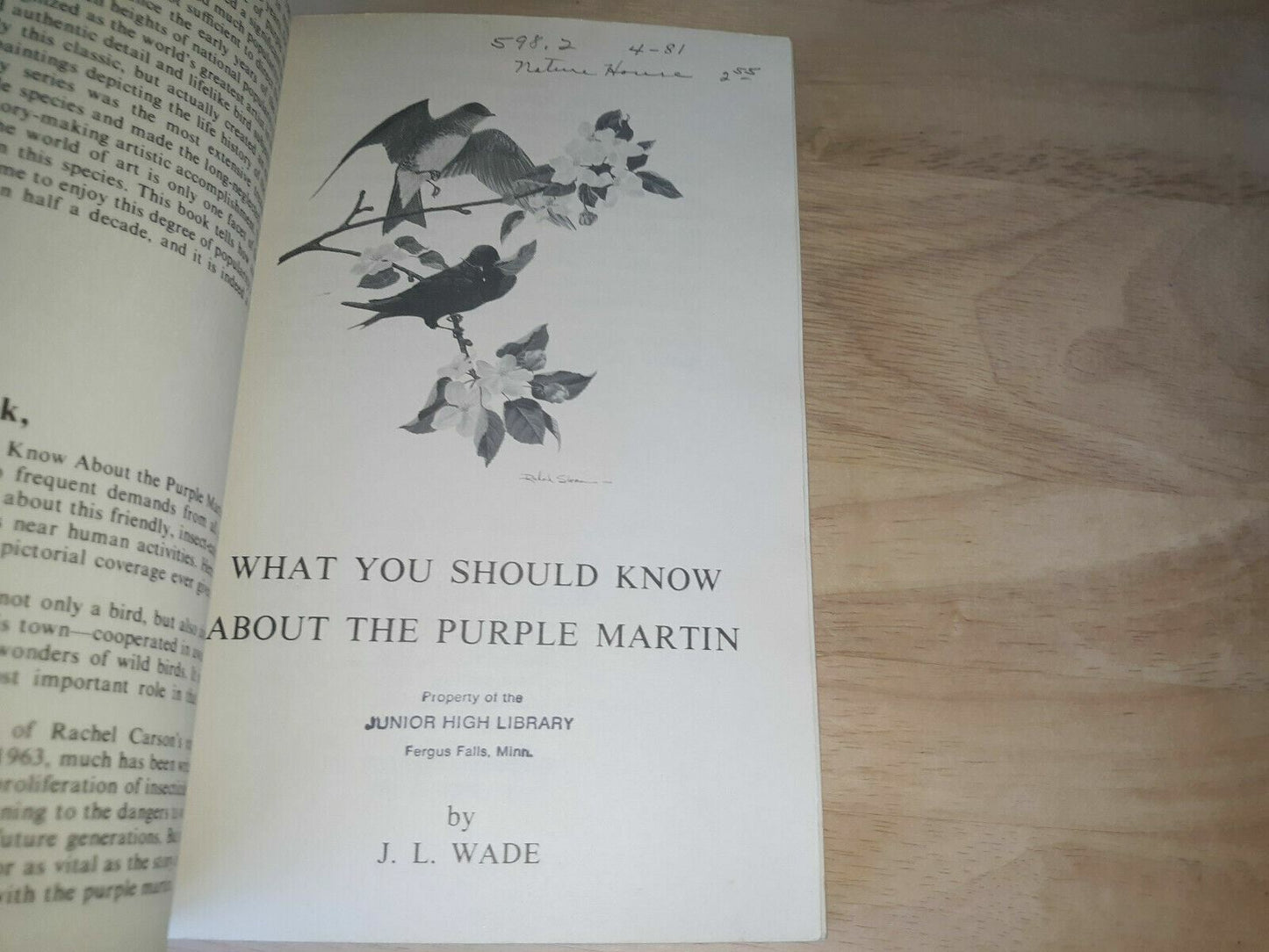 What You Should Know About the Purple Martin: America's Most Wanted Bird 1981