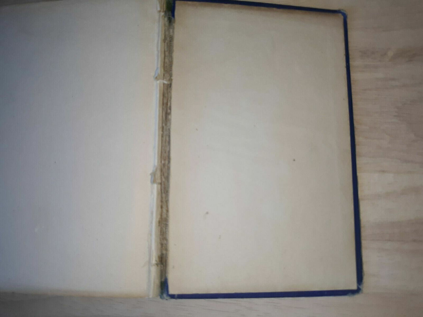 A Tramp Abroad By Mark Twain Illustrated 1880 Belford And Co.