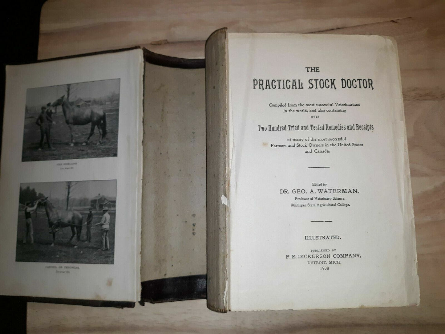 THE PRACTICAL STOCK DOCTOR Compiled from the Most Successful Veterinarians 1908