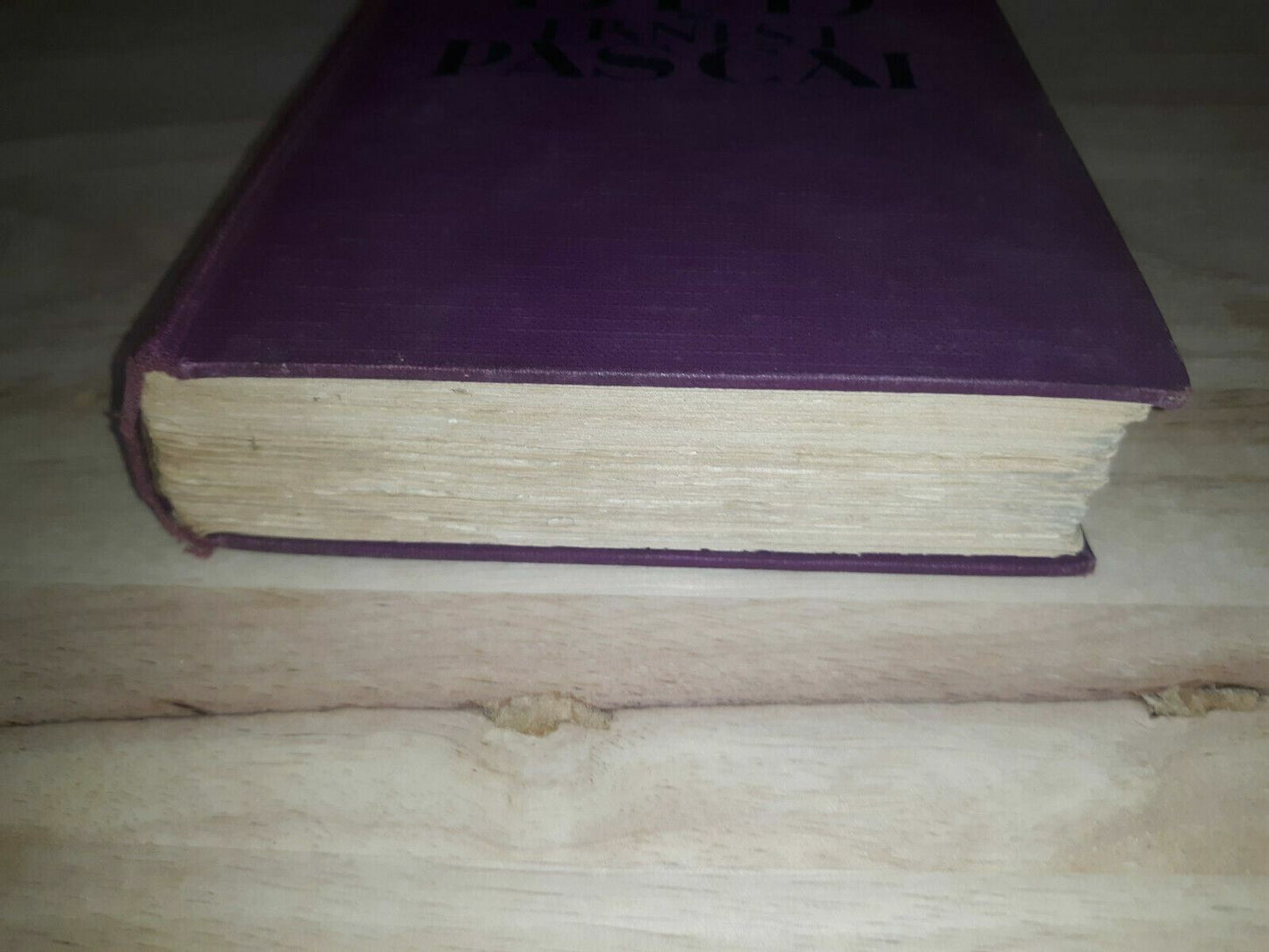 The Marriage Bed, Ernest Pascal, Hardcover, First Edition 1927