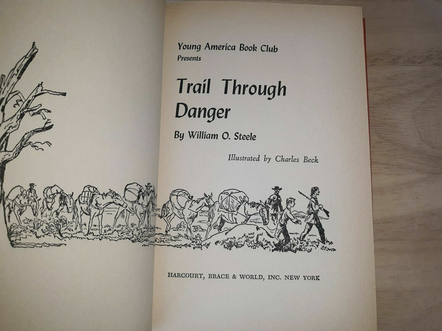 Trail Through Danger by William O. Steele (1965, Hardcover)