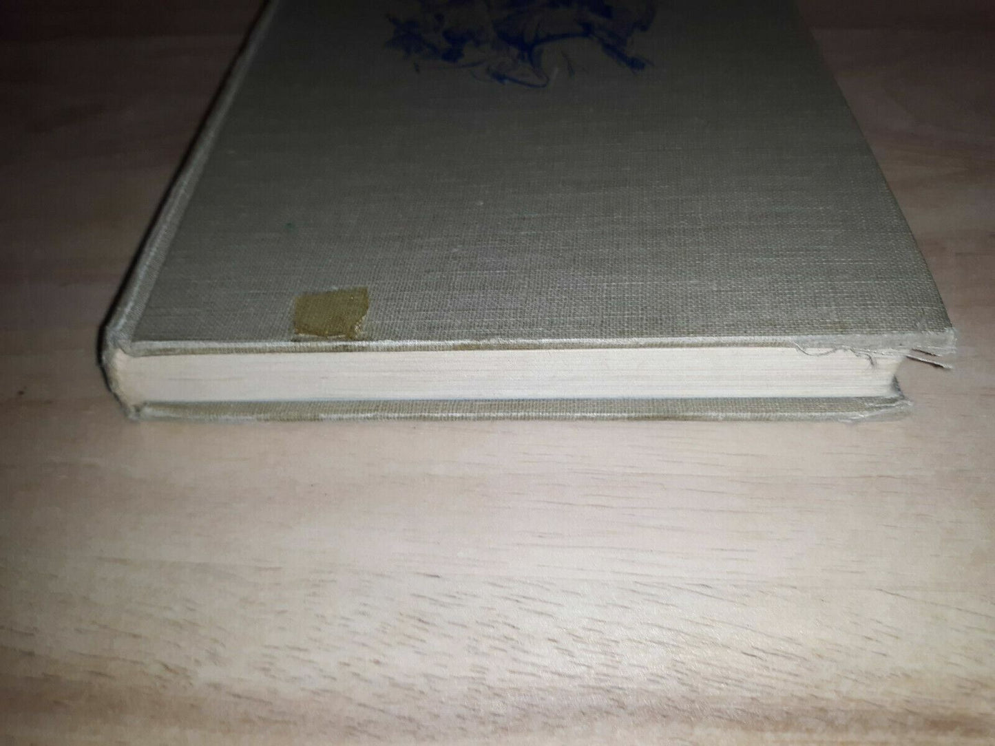 Adventurous lady Brent of Maryland (American background books) Hardcover 1957 Gr