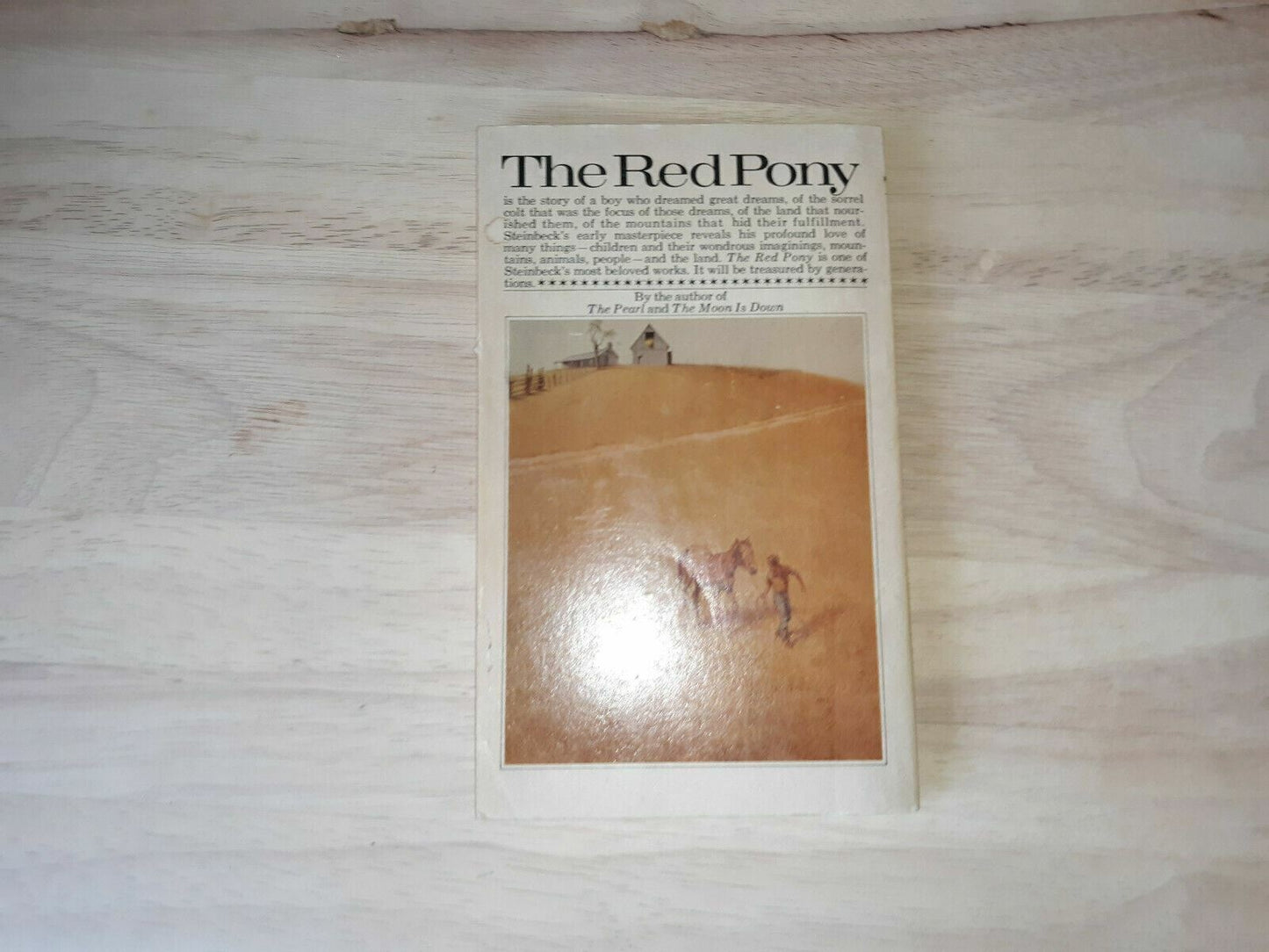 The Red Pony, John Steinbeck 1973 Bantam Paperback