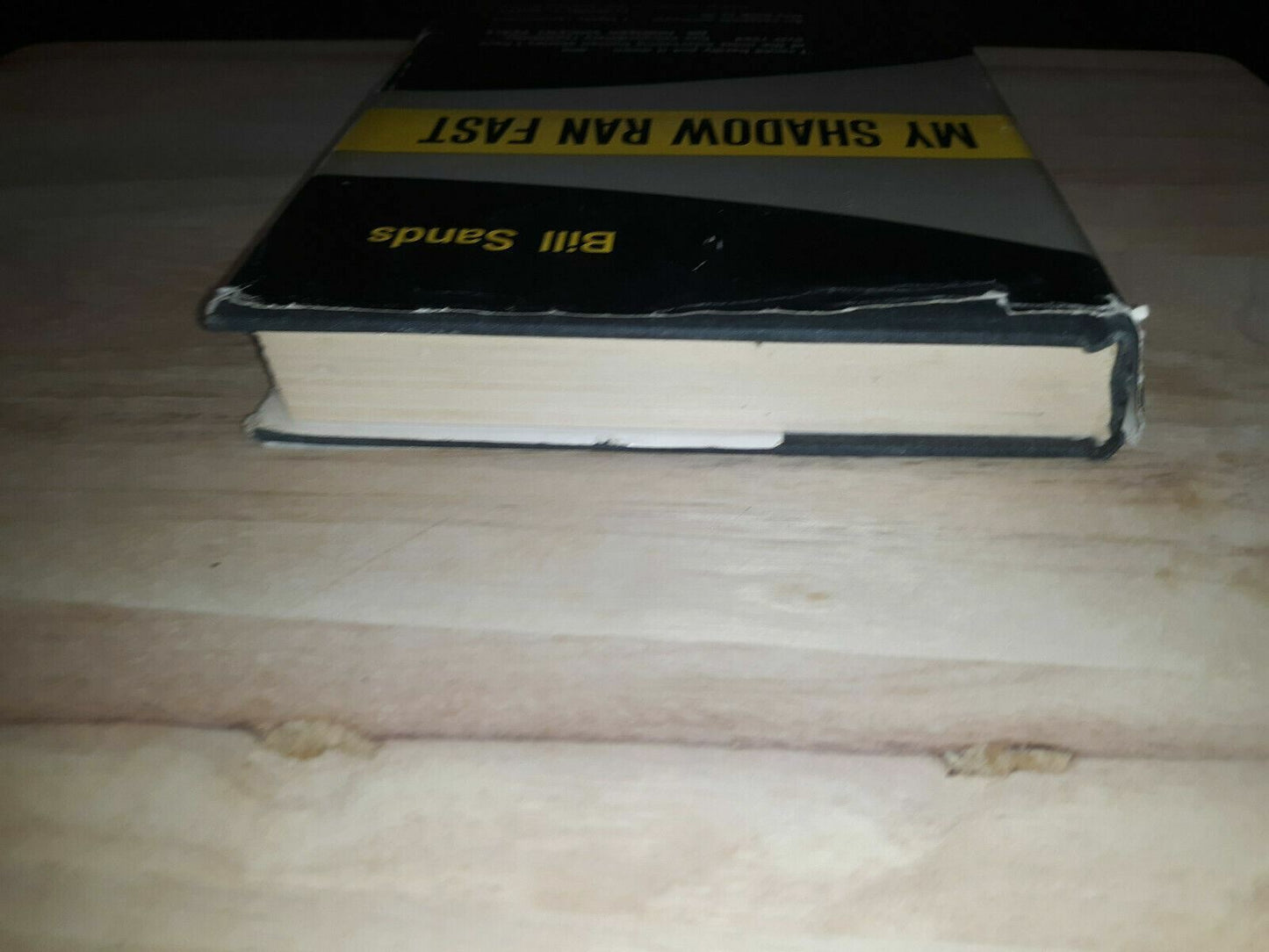 Vintage 1965 Edition My Shadow Ran Fast by Bill Sands