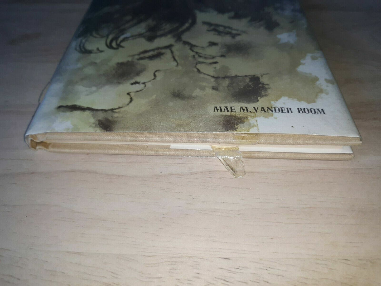 THE SHEPHERD'S BOY, Mae Vander Boom HC,1969