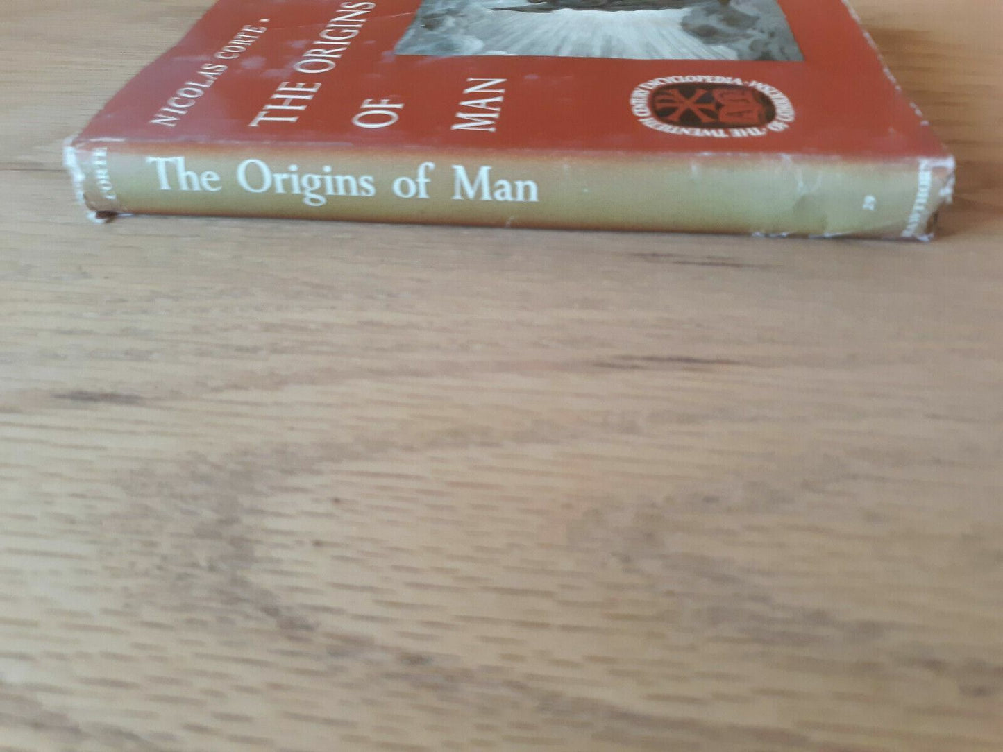 The Origins of Man (Twentieth Century Encyclopedia of Catholicism, Vol. 29)