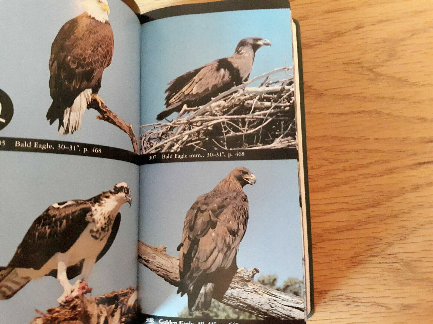 National Audubon Society Field Guide to North American Birds Eastern Region 1983