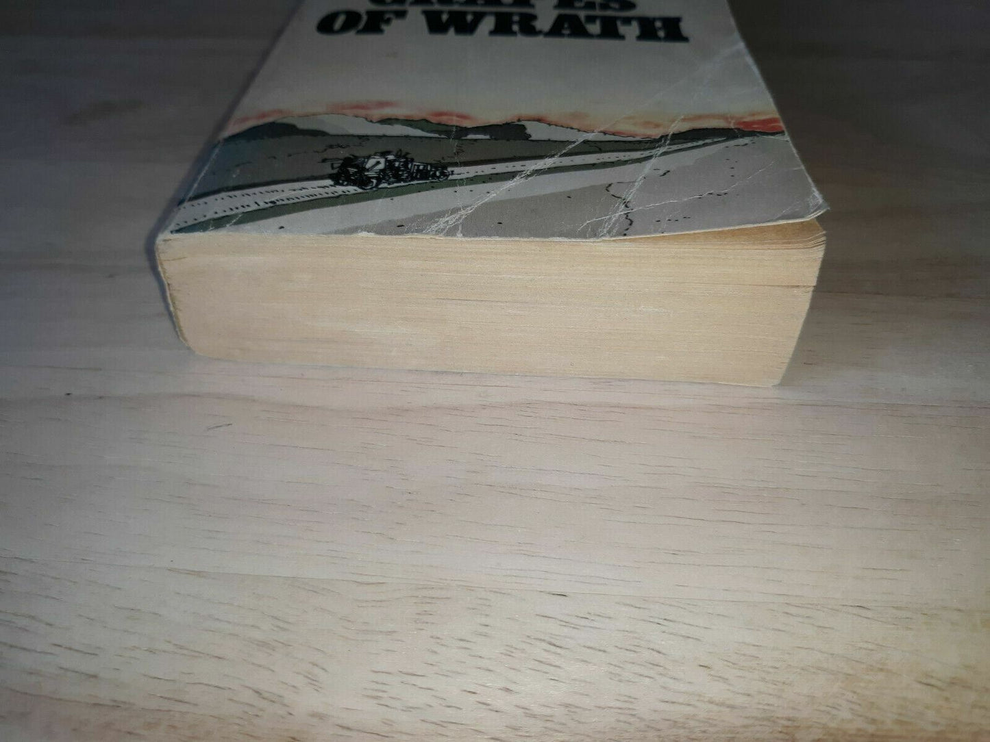 The Grapes of Wrath by John Steinbeck 1985 Penguin Books