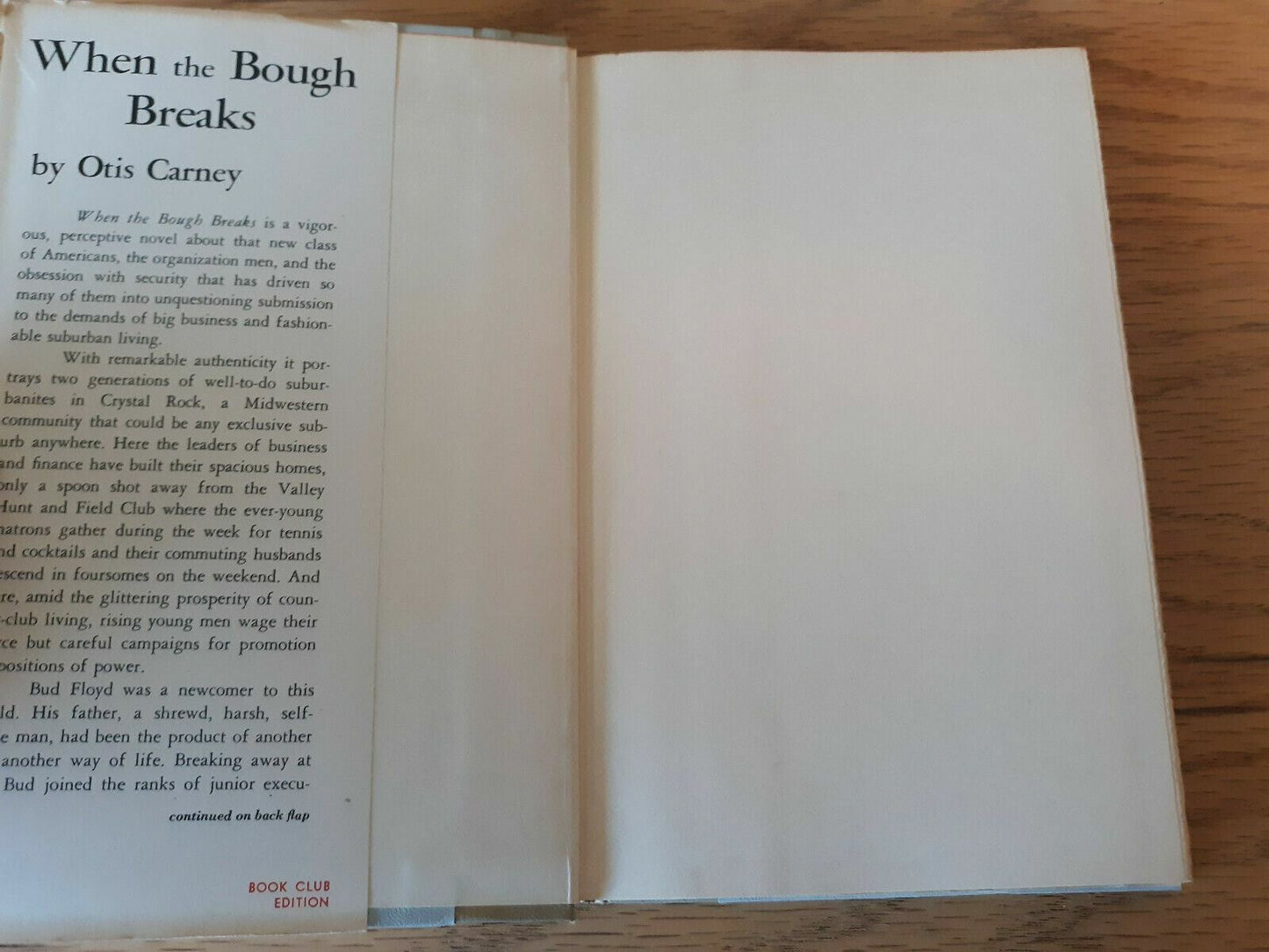 When the Bough Breaks a Novel by Otis Carney 1957