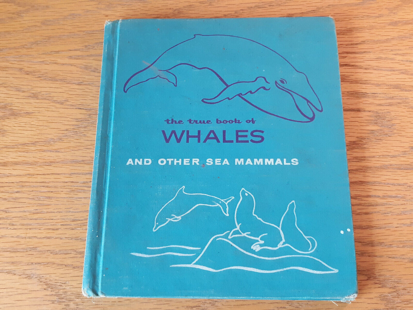 The True Book Of Whales And Other Sea Animals Elsa Posell 1965 Hardcover