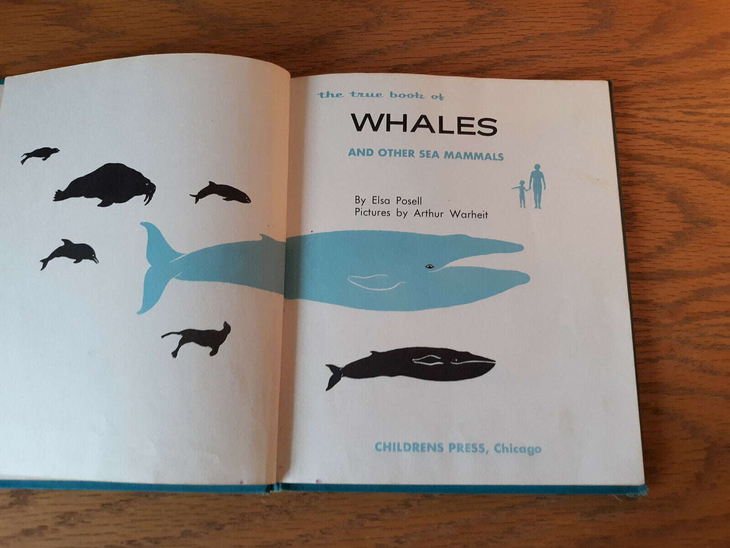 The True Book Of Whales And Other Sea Animals Elsa Posell 1965 Hardcover