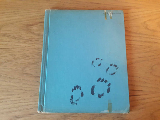 VTG Did A Bear Just Walk There Book Ann Rand Ozbekhan First Edition 1966