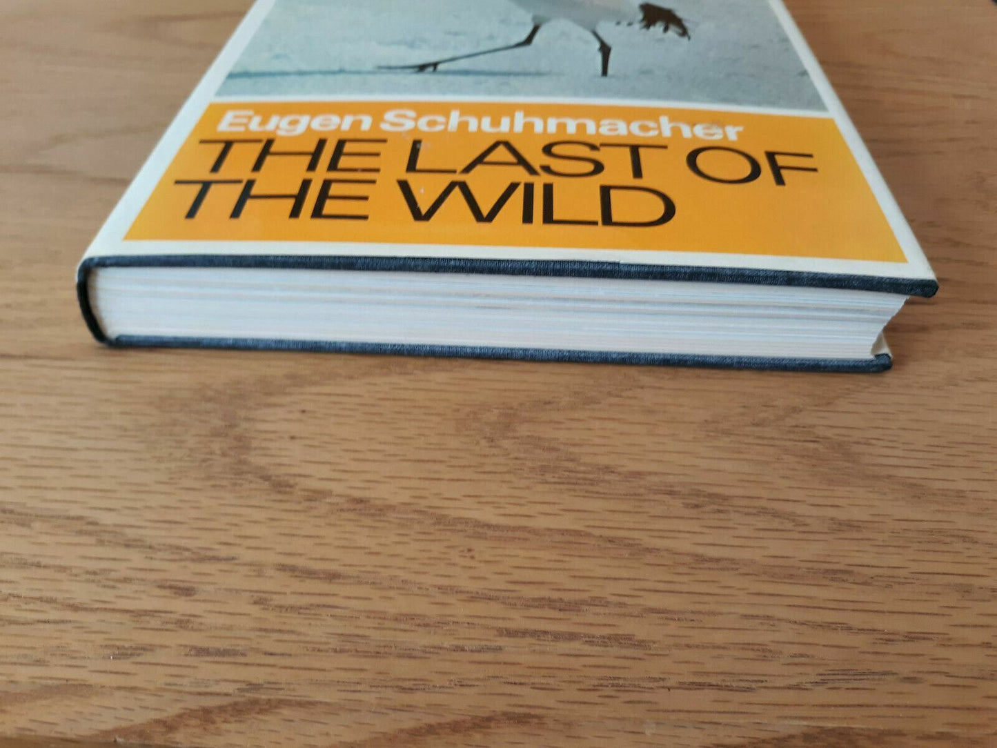 The Last Of The Wild Eugen Schuhmacher 1968 Hardcover Dust Jacket