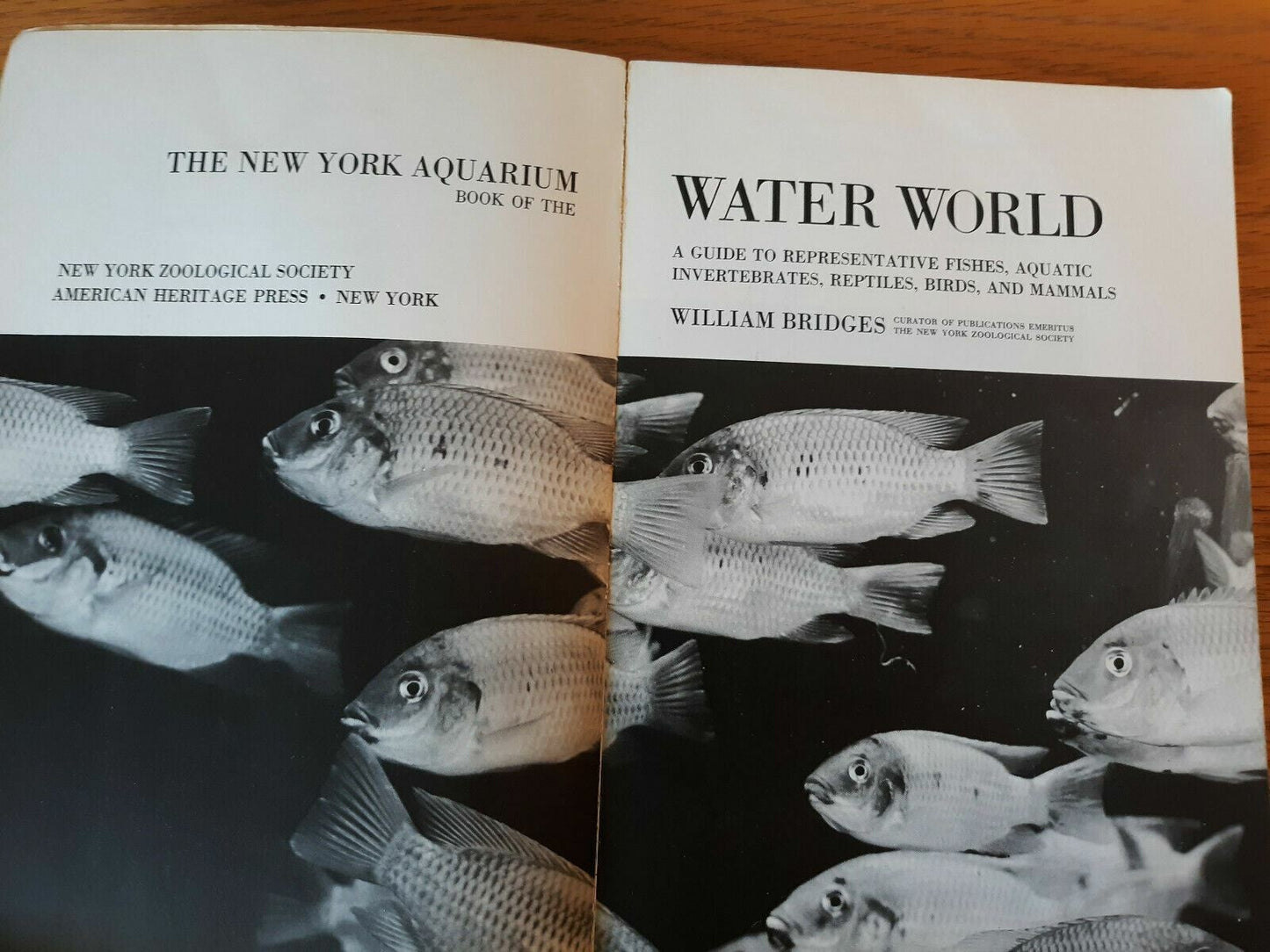 The New York Aquarium Book of the Water World by William Bridges 1970