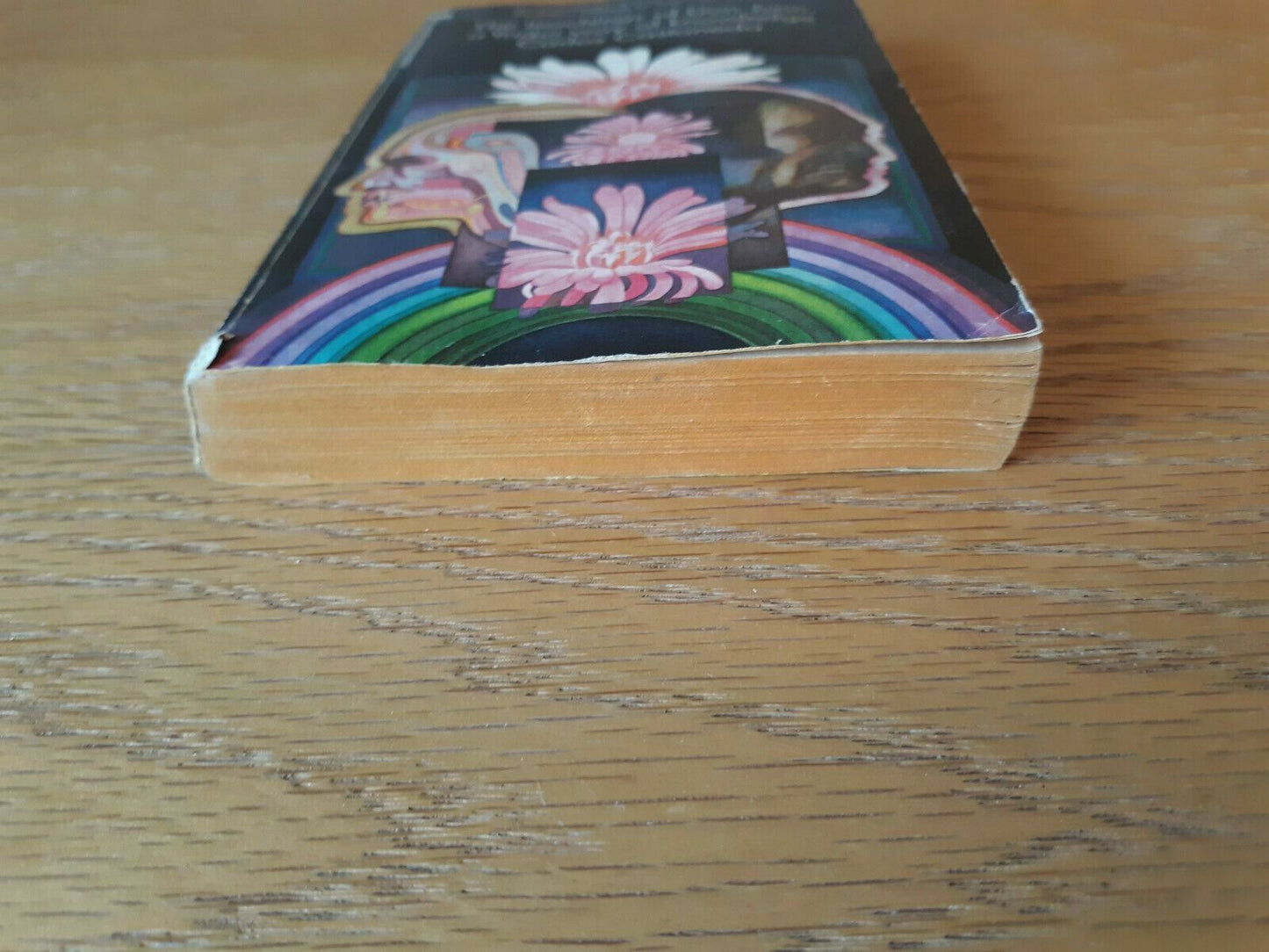 The Teachings of Don Juan: a Yaqui way of knowledge by Carlos Castaneda 1973 PB