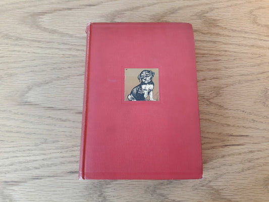 "Dawgs!" An Anthology of Stories about Them Hardcover 1925 by Charles Wright Gra