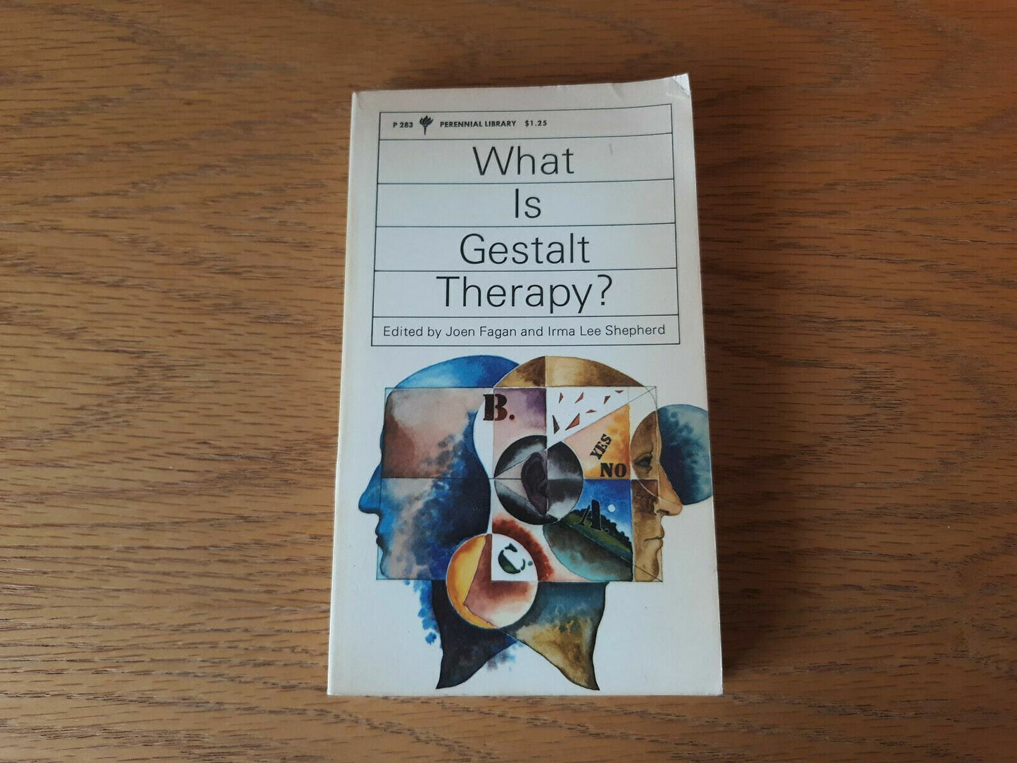 What is Gestalt Therapy by Joen Fagan and Irma Shepherd 1970