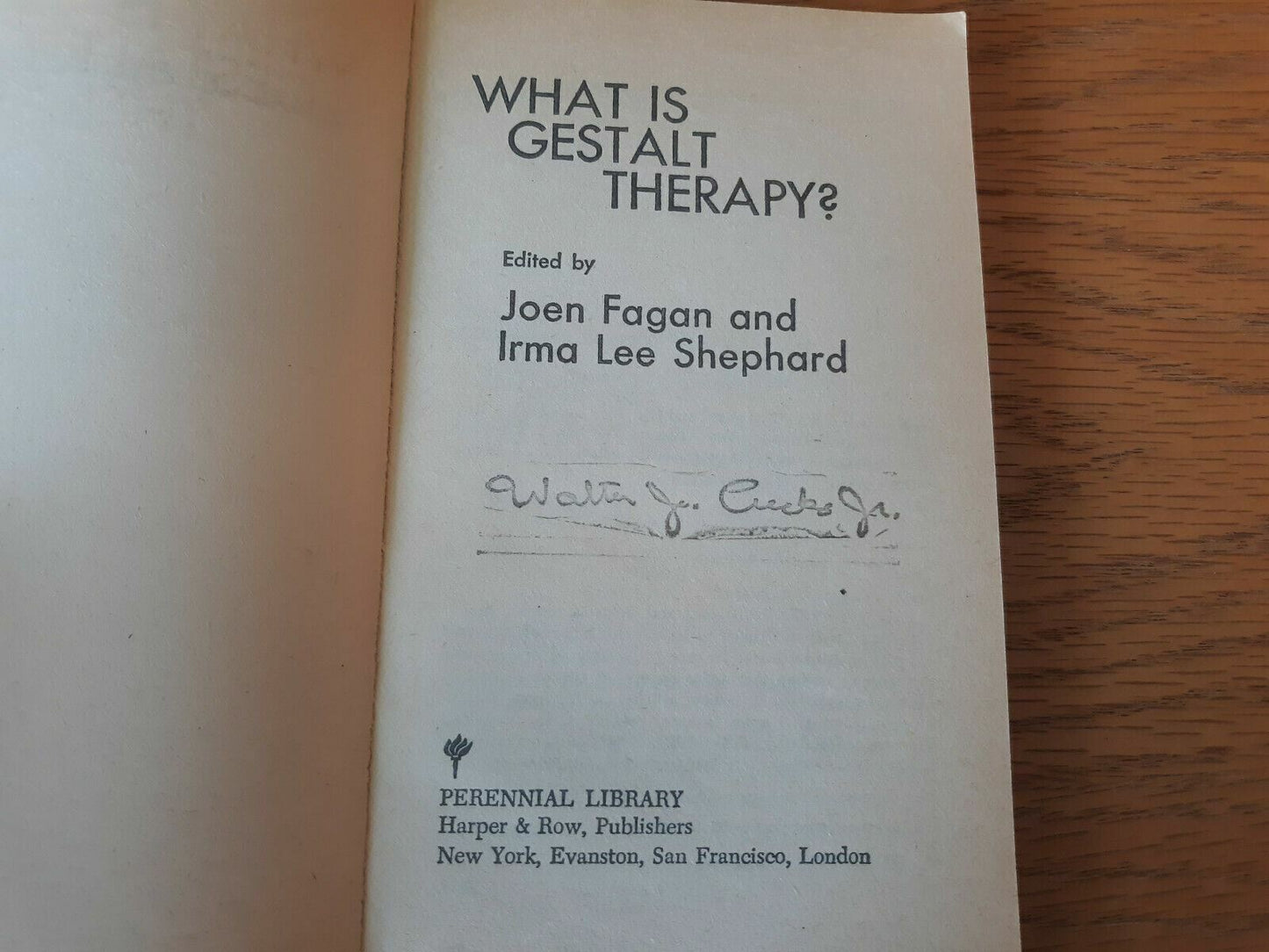 What is Gestalt Therapy by Joen Fagan and Irma Shepherd 1970