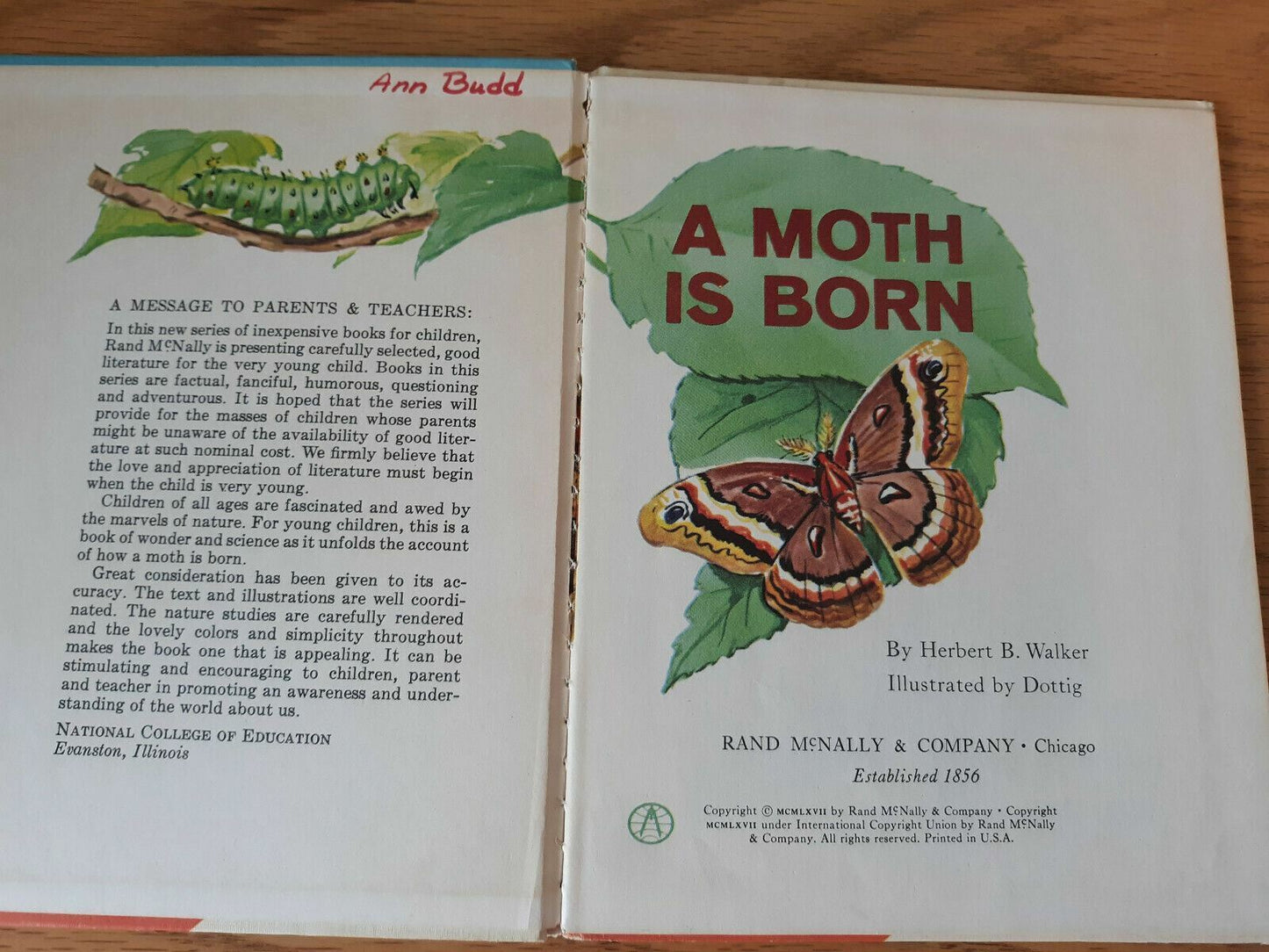 A Moth is Born by Herbert Walker 1967