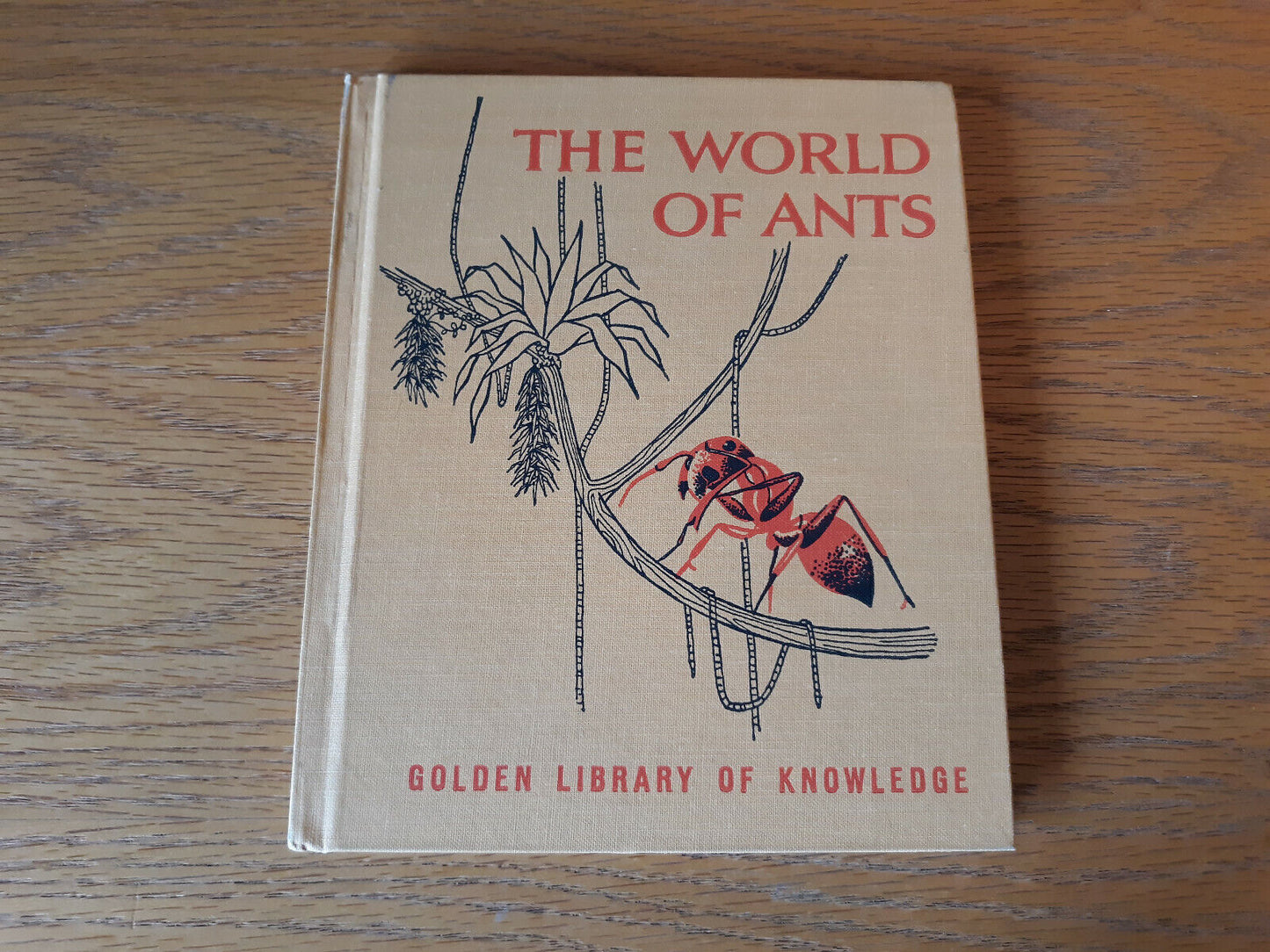 The World Of Ants G Collins Wheat 1959 Hardcover Golden Press