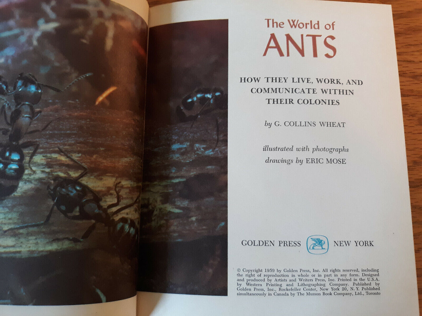 The World Of Ants G Collins Wheat 1959 Hardcover Golden Press