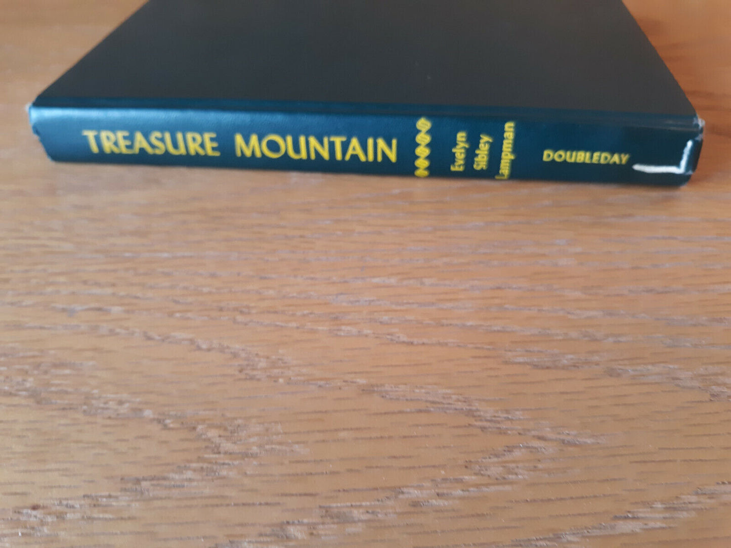 Treasure Mountain Evelyn Sibley Lampman 1949 Hardcover Doubleday