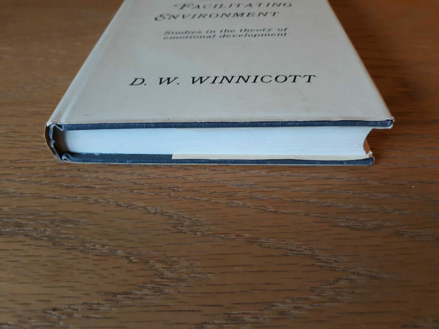 The Maturational Processes And The Facilitating Environment D W Winnicott 1974