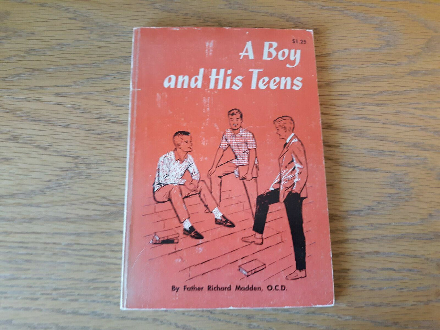 A Boy And His Teens Richard Madden 1963 Paperback Bruce