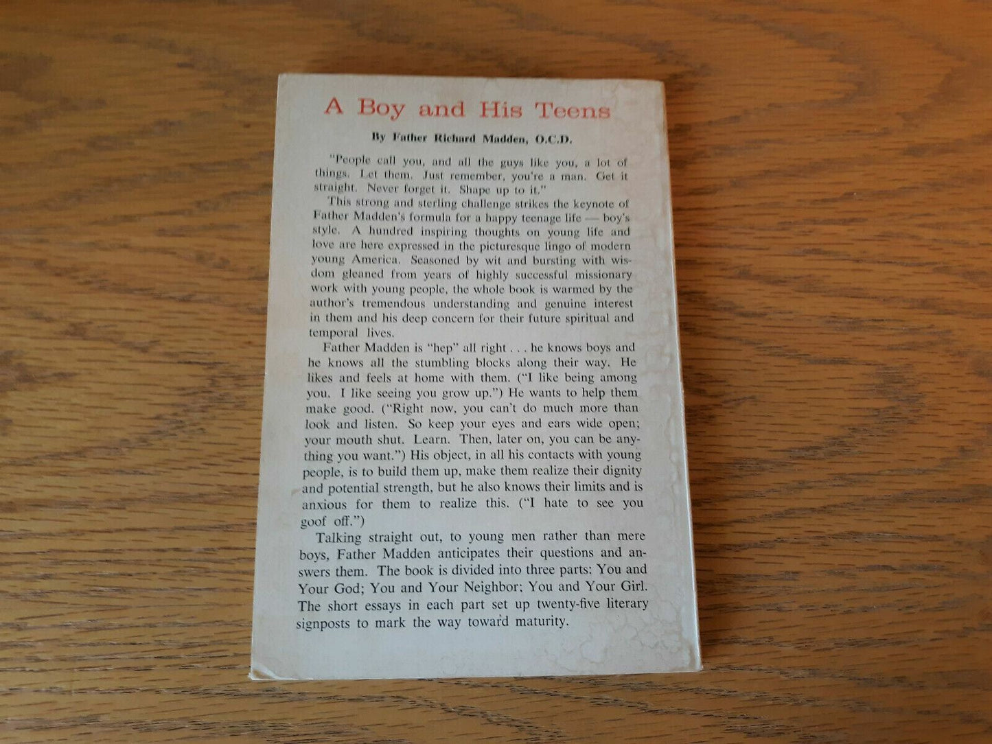 A Boy And His Teens Richard Madden 1963 Paperback Bruce