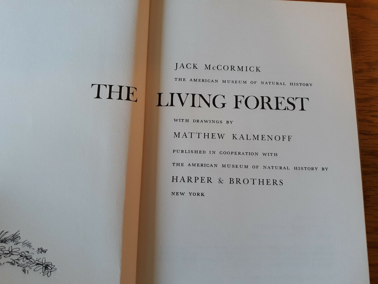 The Living Forest Jack McCormick 1959 Hardcover Harper & Brothers