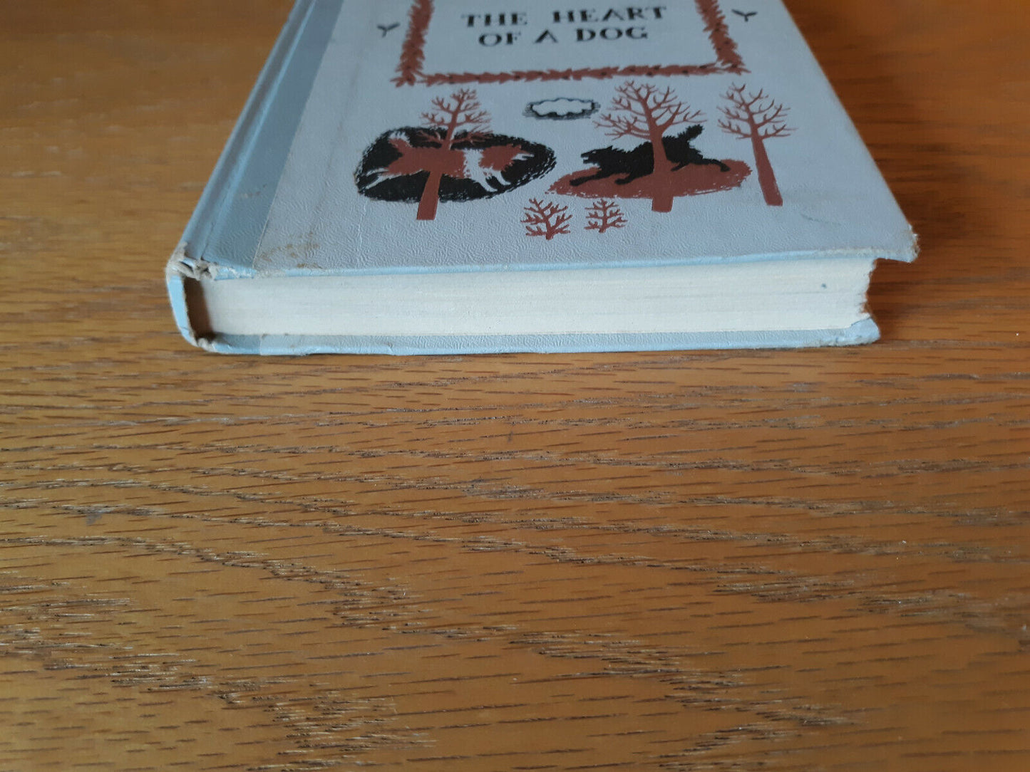 The Heart of A Dog Junior Deluxe Editions Hardcover Albert Payson Terhune 1924