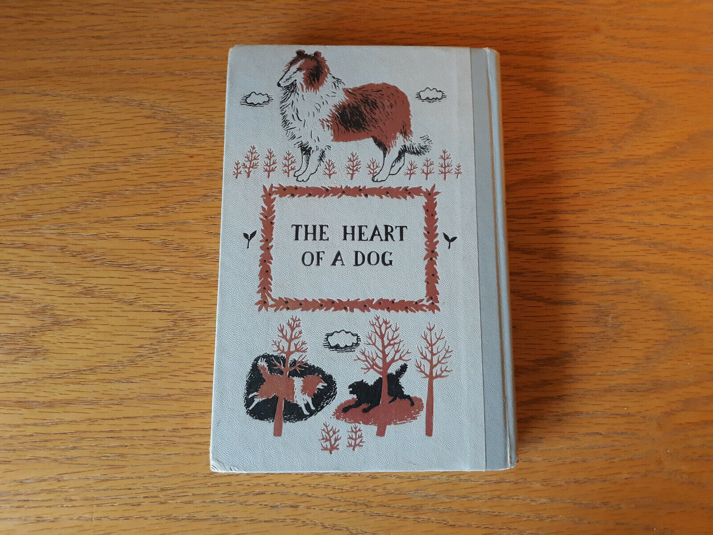 The Heart of A Dog Junior Deluxe Editions Hardcover Albert Payson Terhune 1924