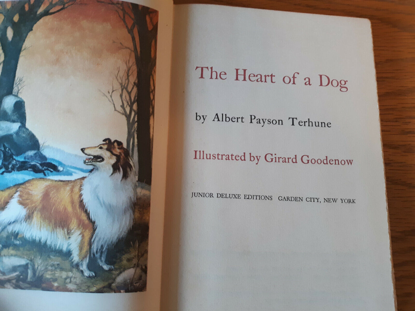 The Heart of A Dog Junior Deluxe Editions Hardcover Albert Payson Terhune 1924