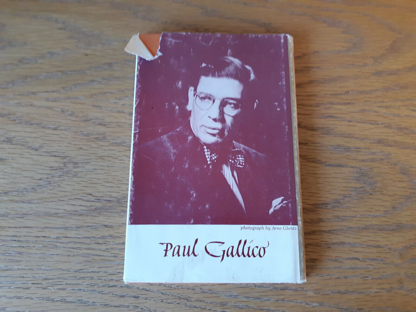 The Snow Goose Paul Gallico 1967 Hardcover Dust Jacket Alfred A Knopf