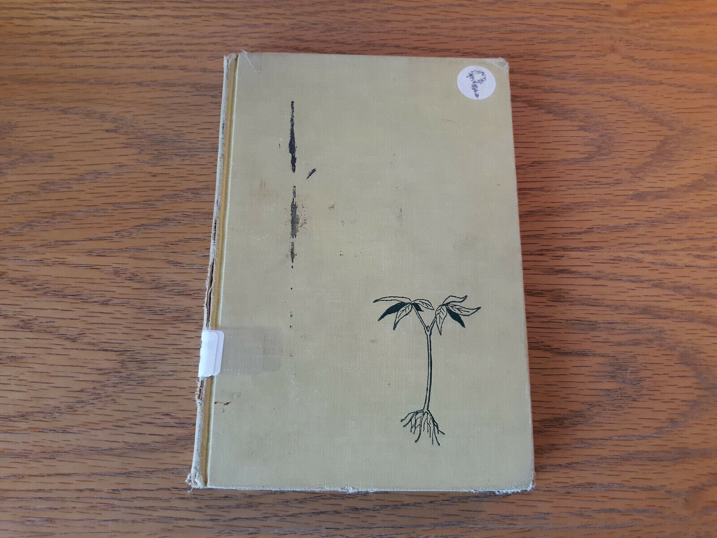 A Tree Is Born J M Guilcher 1960 Sterling Nature Series Sterling Publishing Hard