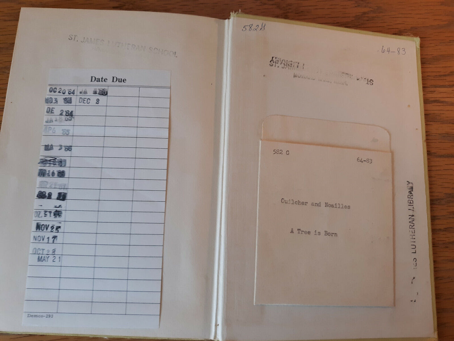 A Tree Is Born J M Guilcher 1960 Sterling Nature Series Sterling Publishing Hard