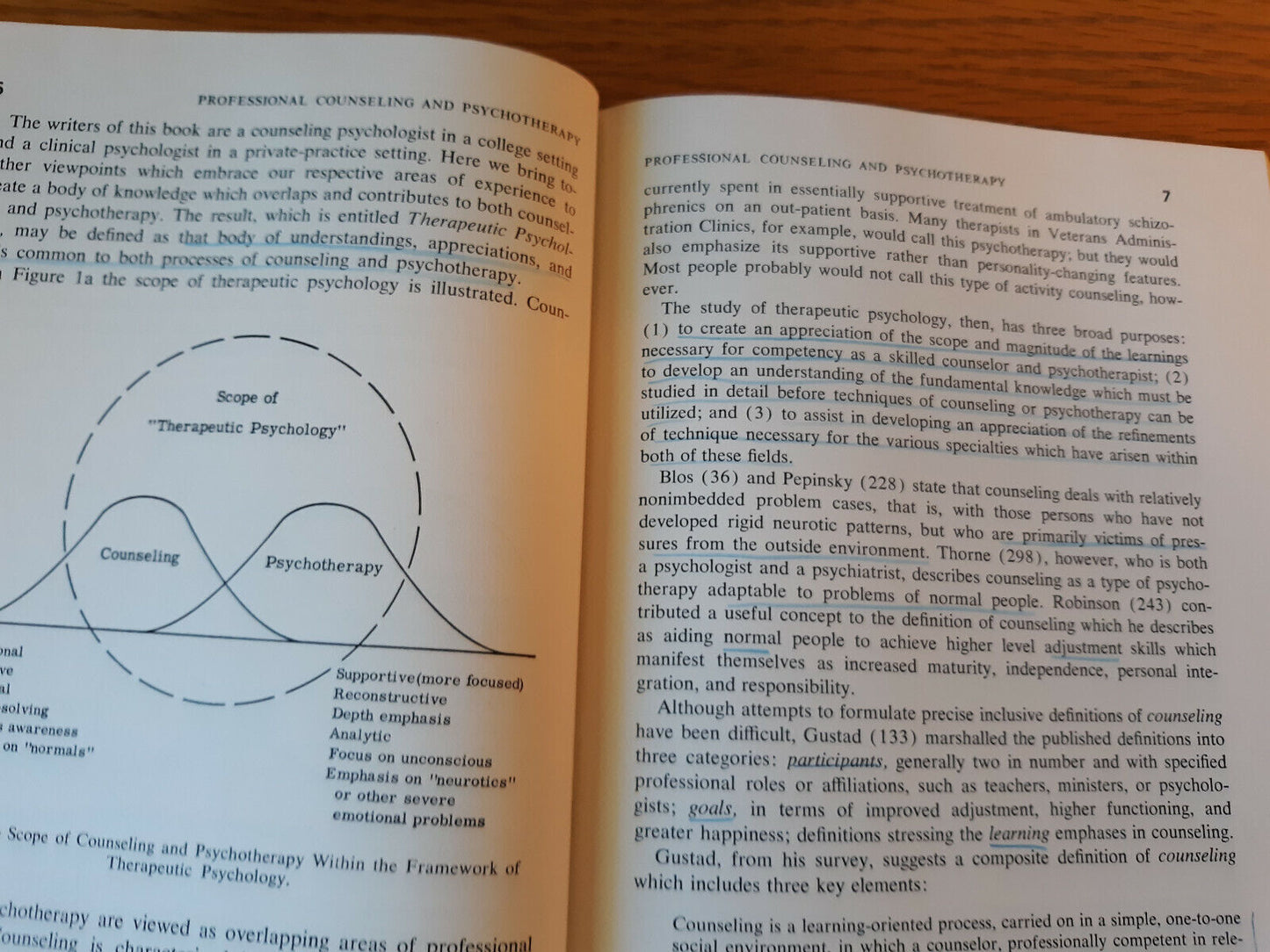 Therapeutic Psychology Lawrence Brammer 1965 Hardcover Dust Jacket Prentice Hall