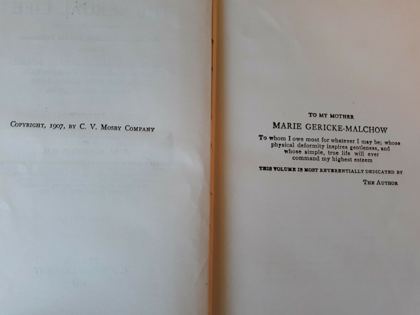 The Sexual Life C W Malchow 1917 The Natural Sexual Impulse Hardcover 5th Editio