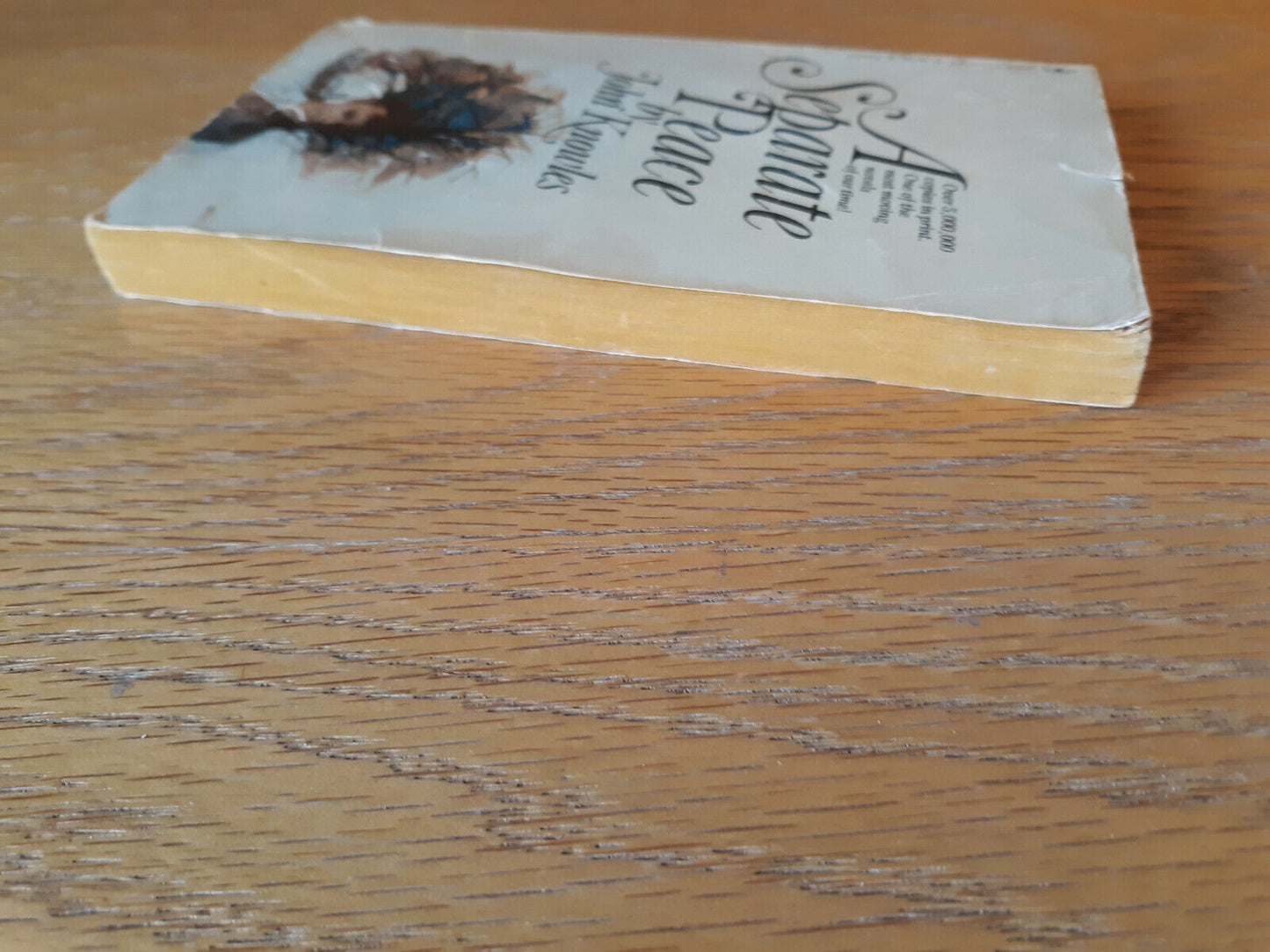 A Separate Peace John Knowles 1979 Bantam Books Paperback