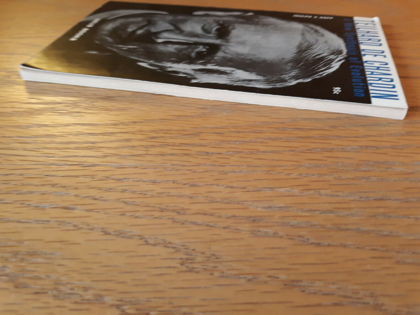 A New Synthesis Of Evolution Teilhard De Chardin 1968 Paperback Joseph Kopp