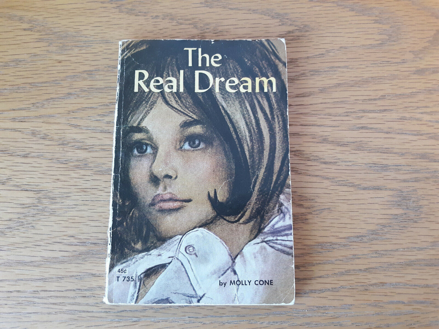 The Real Dream Molly Cone 1968 Paperback Scholastic